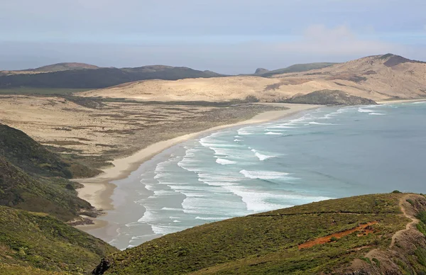 Werahi Beach Yeni Zelanda — Stok fotoğraf