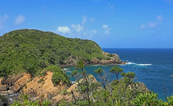 Cliffs Tutukaka Head New Zealand — Stock Photo, Image