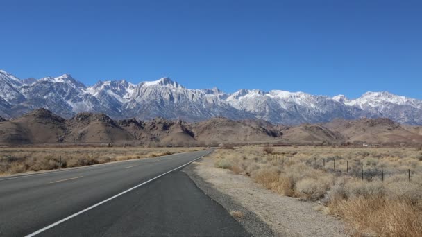 Tatil Owens Valley Sierra Nevada California — Stok video