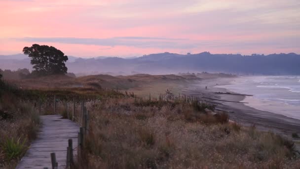 Serata Sulla Spiaggia Waihi Bowentown Nuova Zelanda — Video Stock