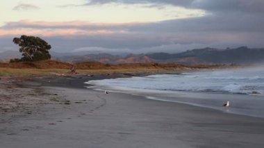 Waihi beach, Bowentown, Yeni Zelanda