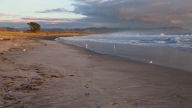Waihi, yatay, plaj, Bowentown, Yeni Zelanda