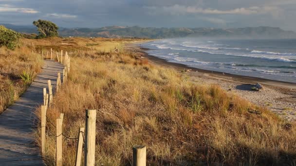 Sentiero Sulla Spiaggia Waihi Bowentown Nuova Zelanda — Video Stock
