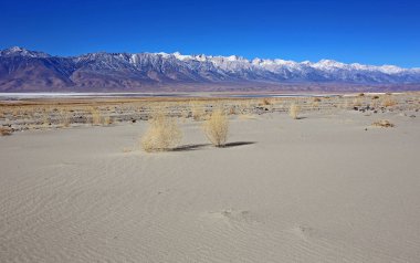 Çöl ve Sierra Nevada - Sierra Nevada Owens Valley, Kaliforniya