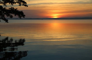 Altın gündoğumu - Reelfoot Lake State Park, Tennessee