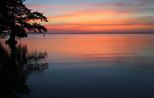 Morning Glory Reelfoot Lake State Park Tennessee — Stockfoto
