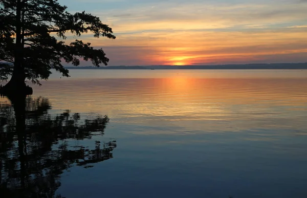 柏树树与日出 Reelfoot 湖州立公园 田纳西州 — 图库照片