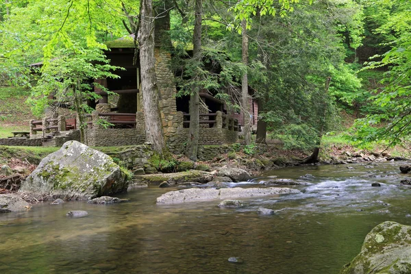 Laurel Fork Holly River State Park Virginia Occidental — Foto de Stock