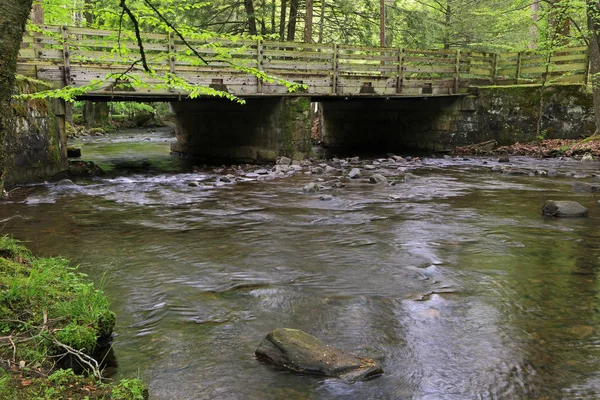 ローレルフォークと橋 ホリーリバー州立公園 ウェストバージニア州 — ストック写真