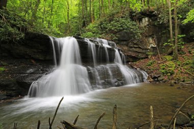 Upper Falls - Holly River Eyalet Parkı, Batı Virginia