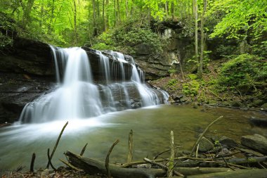 Yukarı Şelale 'nin manzarası - Holly River Eyalet Parkı, Batı Virginia