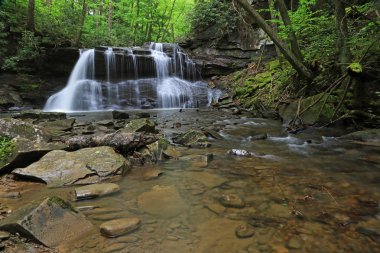Falls Run ve Upper Falls - Holly River State Park, Batı Virginia