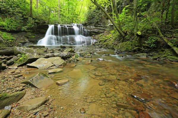 Yukarı Şelaleli Romantik manzara - Holly River Eyalet Parkı, Batı Virginia