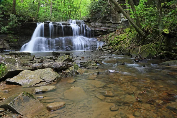 Upper Falls Fall Run Holly River State Park Západní Virginie — Stock fotografie