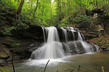 Romantik Upper Falls - Holly River Eyalet Parkı, Batı Virginia