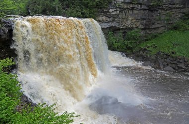 Blackwater Şelalesinin yan görüntüsü - Blackwater Falls Eyalet Parkı, Batı Virginia