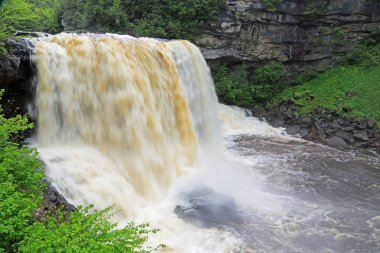Blackwater Şelalesi 'nin Amber Suyu - Blackwater Falls Eyalet Parkı, Batı Virginia