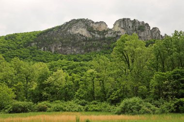 Seneca Rocks ile manzara - Batı Virginia