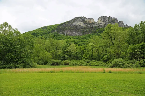 Seneca Rocks Prairie Virginie Occidentale — Photo