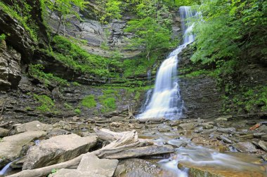 Katedral Şelalesi - Batı Virginia
