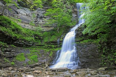 Cathedral Falls - Batı Virjinya