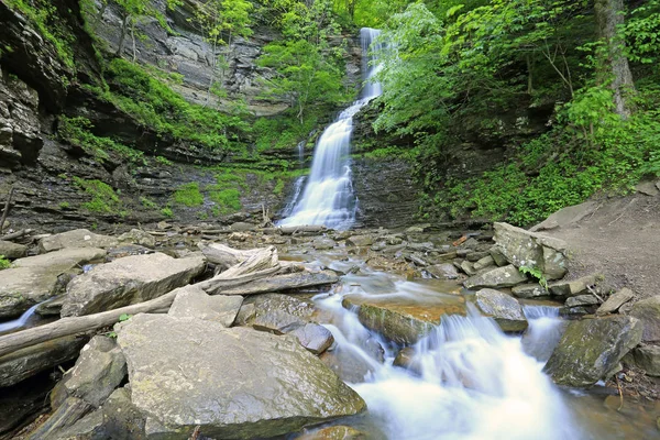 Krajina Katedrálními Vodopády Západní Virginie — Stock fotografie