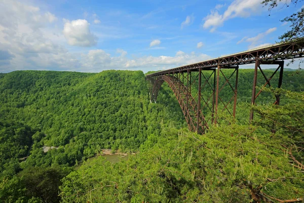 Forest Bridge New River Gorge Bridge West Virginia — стокове фото