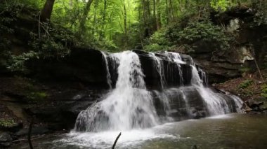 Holly Nehri Sp ve Yukarı Şelaleler, Batı Virginia