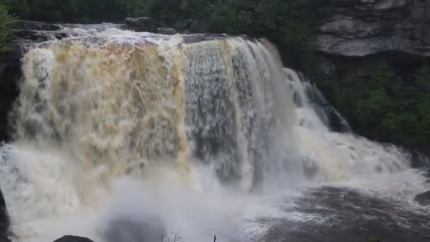 ブラックウォーター滝 ウェストバージニア州 — ストック動画