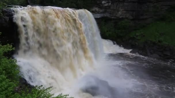 Πλευρική Άποψη Στο Blackwater Falls Δυτική Βιρτζίνια — Αρχείο Βίντεο