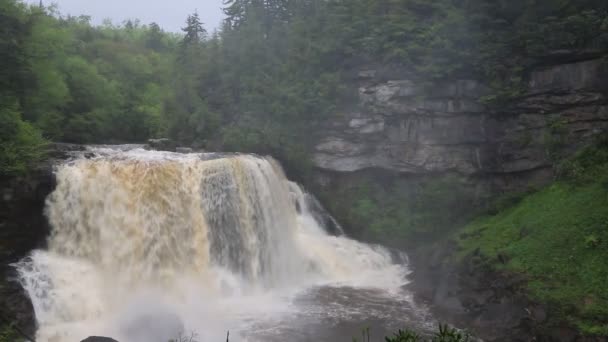 Paisagem Com Blackwater Falls West Virginia — Vídeo de Stock
