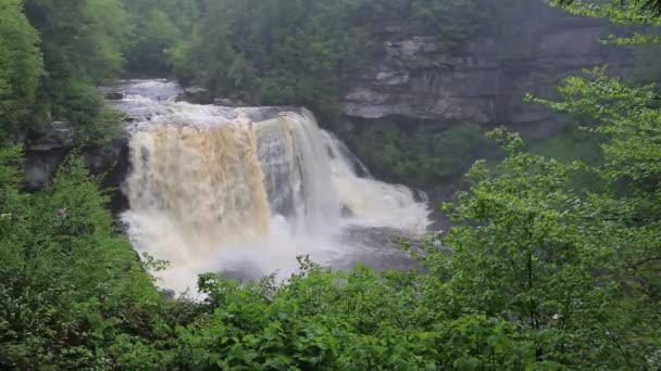 Grönt Landskap Med Blackwater Falls West Virginia — Stockvideo