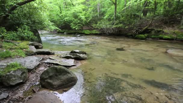 Laurel Fork - Virginie occidentale 