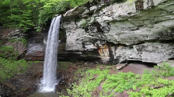 Θέα Στο Lower Falls Δυτική Βιρτζίνια — Αρχείο Βίντεο