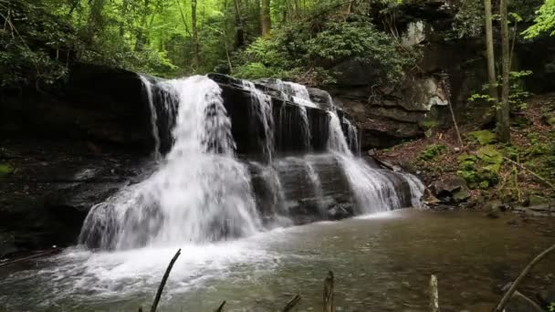 アッパーフォールズの眺め Holly River West Virginia — ストック動画