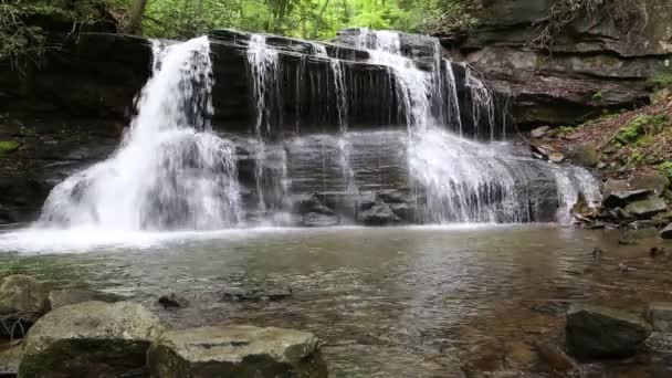 Upper Falls Holly River Batı Virginia — Stok video