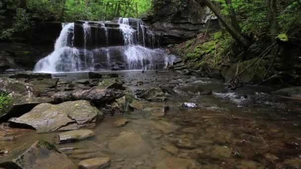 Krajobraz Upper Falls Holly River Zachodnia Wirginia — Wideo stockowe