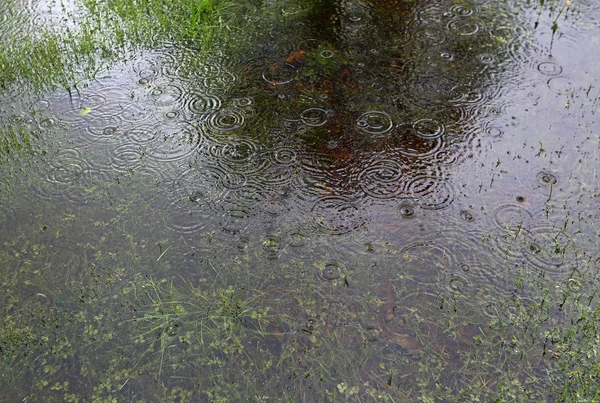 Regnet Westvirginia — Stockfoto