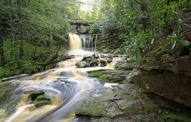 Elakala Şelalesi, Blackwater Şelalesi Eyalet Parkı, Batı Virginia