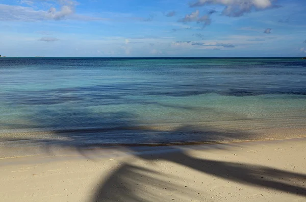 Palm Shadow Beach Bahamas — Stock Photo, Image