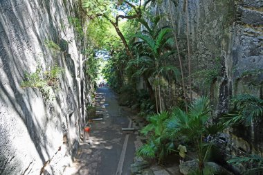 Kireçtaşı Kanyonu - Kraliçe Sraircase - Nassau, New Providence, Bahamalar