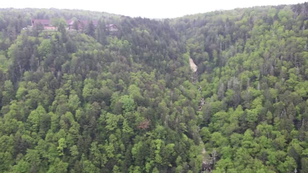 Τοπίο Elakala Falls Δυτική Βιρτζίνια — Αρχείο Βίντεο