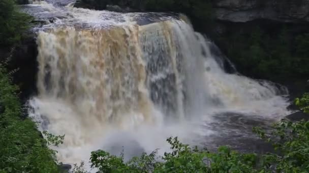 黑水瀑布 西弗吉尼亚 — 图库视频影像