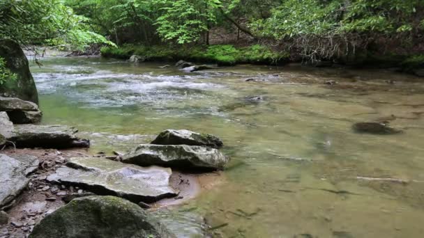 Sur Laurel Fork - Virginie occidentale 