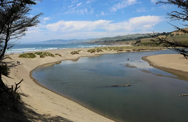 Stille Oceaan Zalm Kreek Sonoma Coast State Park Californië — Stockfoto