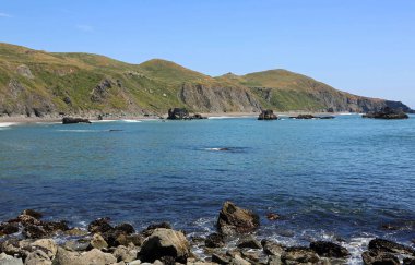 Balina Noktası 'ndan Blind Beach Sonoma Ciast State Park, Kaliforniya