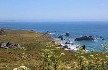 Kortum Yolu - Sonoma Ciast Eyalet Parkı, Kaliforniya