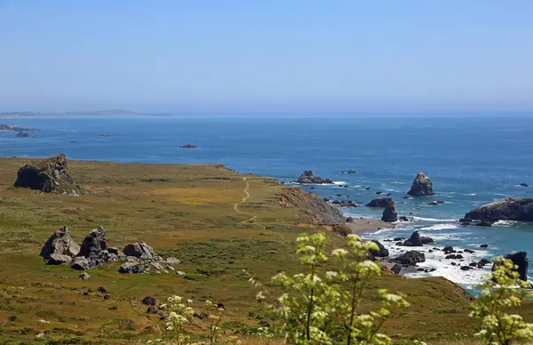 Blick Auf Den Kortum Trail Sonoma Ciast State Park Kalifornien — Stockfoto