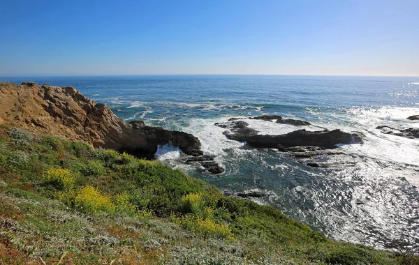 Point Arena Mendocino County Kaliforniya — Stok fotoğraf