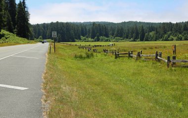 Newton B Drury manzara parkı, Redwood Ulusal Parkı, Kaliforniya